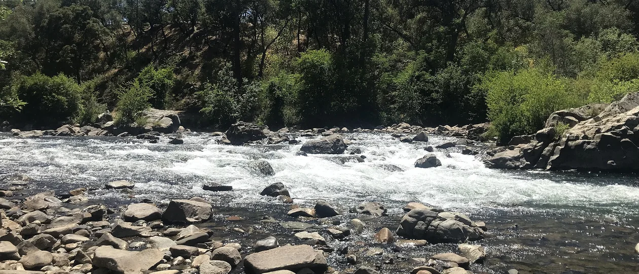 Кам'янистий берег річки: обкатані валуни й галька біля самої води, за бистриною піднімається порослий лісом схил